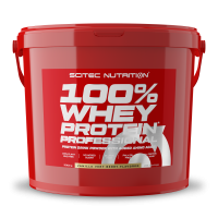 Scitec 100% Whey Protein Professional 5000 g